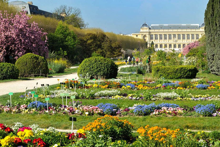 jardin des plantes