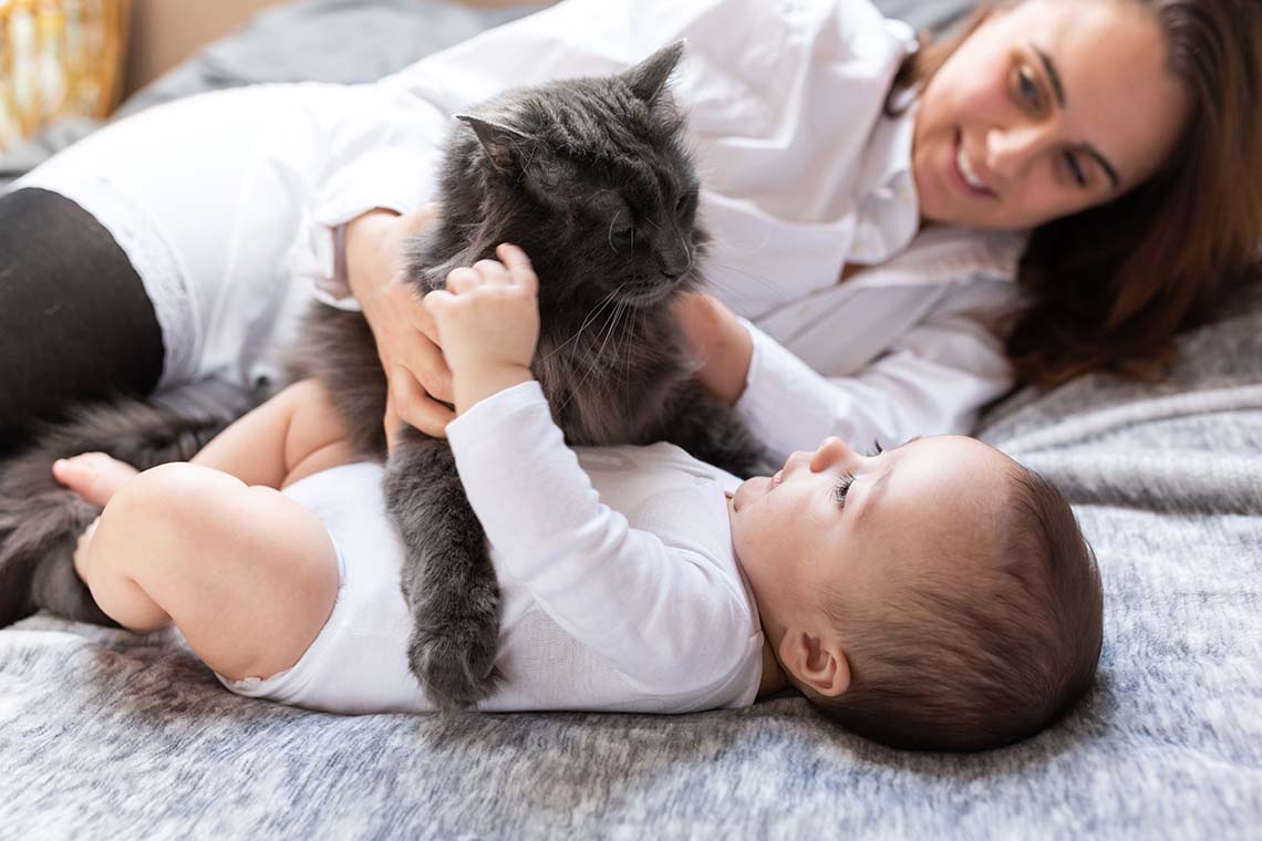 Bébé Romy avec son chat et sa maman