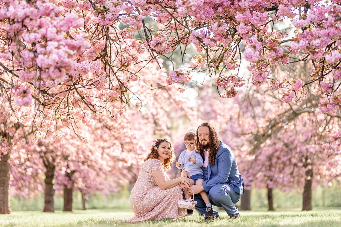 photographie de famille sous les cerisiers japonais