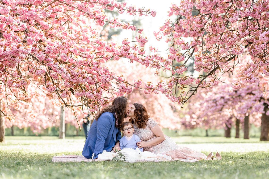 photographe famille sceaux cerisiers japonais