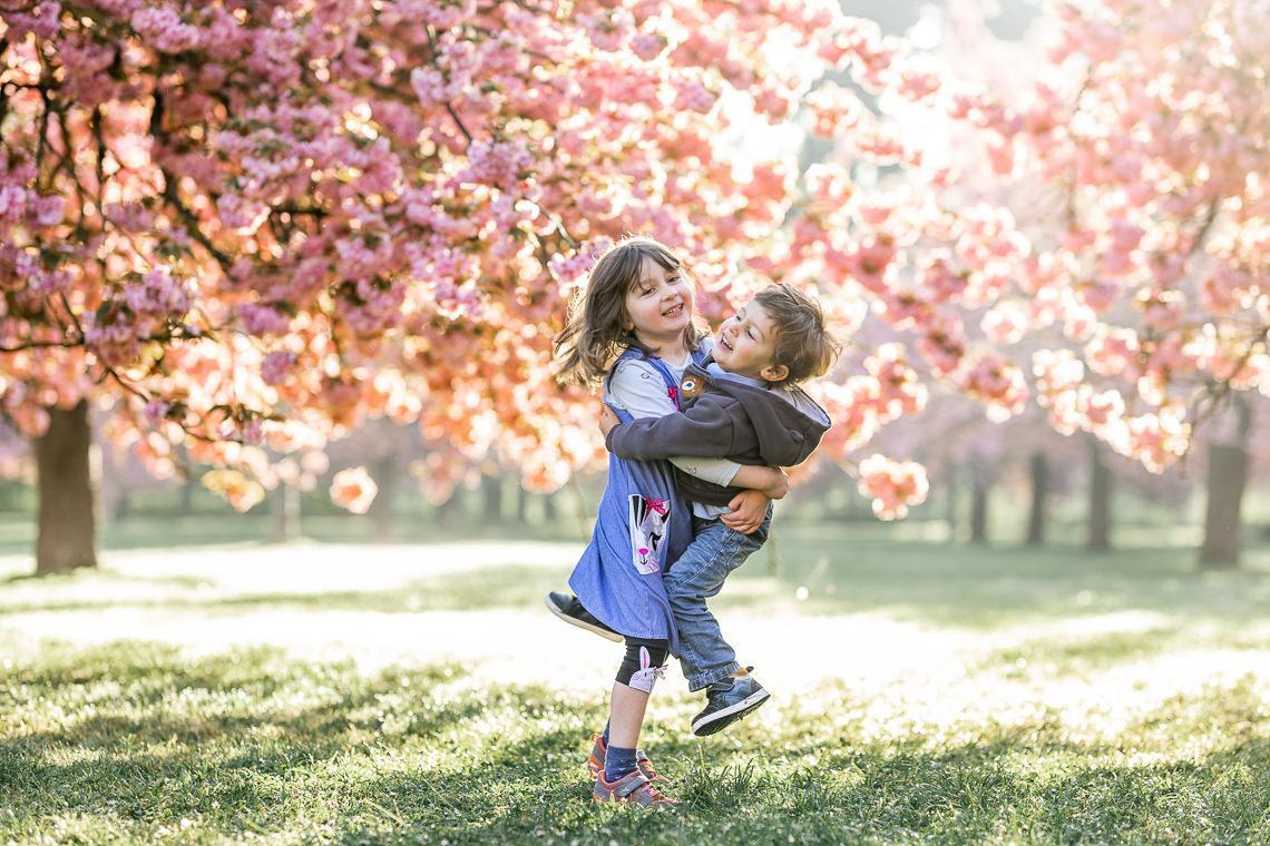 shooting cerisiers famille sceaux 10