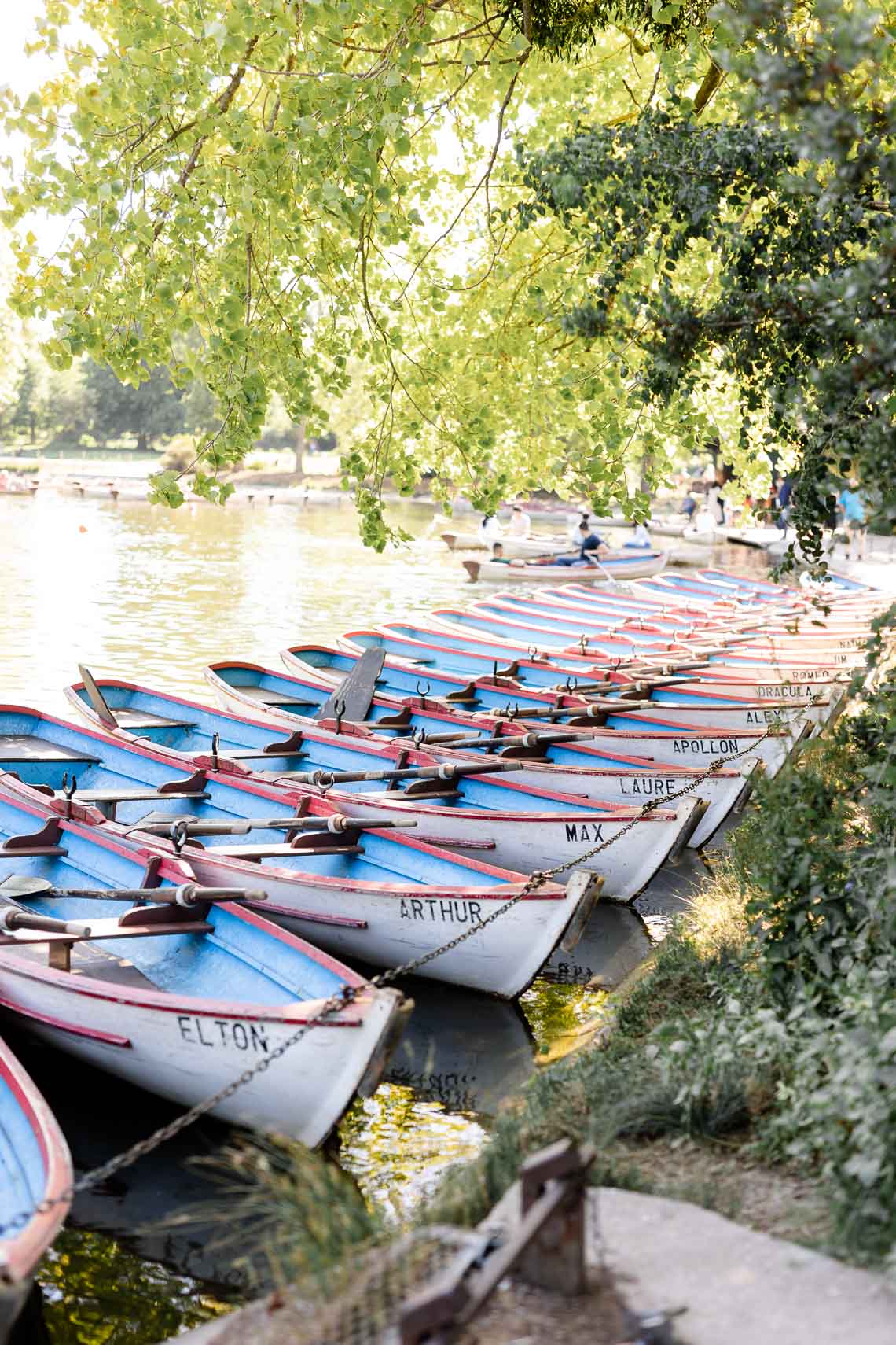 location de bateau à vincennes