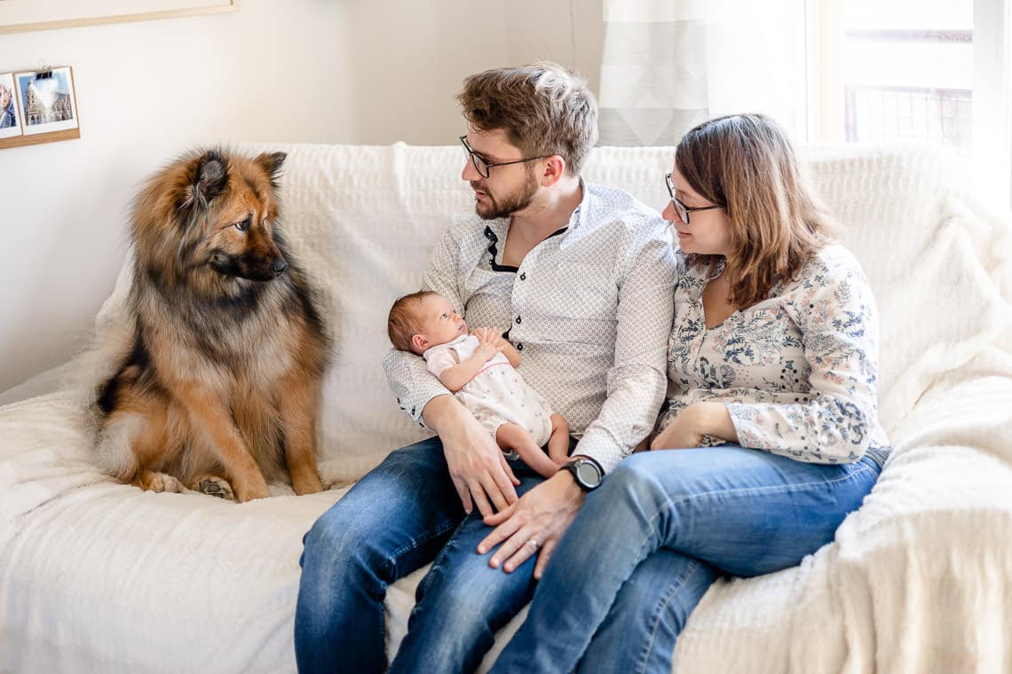 séance photo de bébé à domicile à fresnes avec un chien
