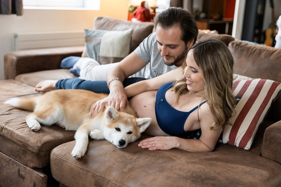 photos de grossesse avec un chien shiba inu